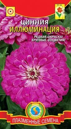 Цветы Циния Иллюминация ЦВ/П (ПЛАЗМА) тем.розовая