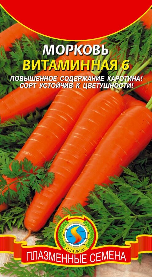 Морковь Витаминная 6 ЦВ/П (ПЛАЗМА) среднеспелый