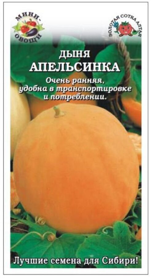 Дыня Апельсинка Мини-овощи ЦВ/П (Сотка) раннеспелый