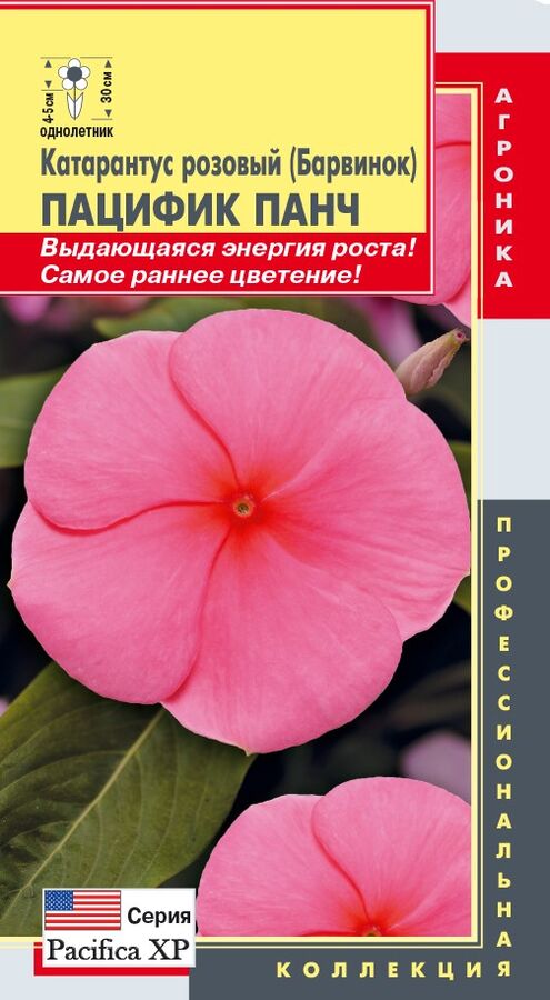 Цветы Катарантус Розовый (Барвинок) Пацифик Панч ЦВ/П (ПЛАЗМА) однолетнее 30см