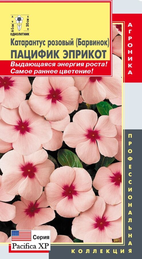 Цветы Катарантус Розовый (Барвинок) Пацифик Эприкот ЦВ/П (ПЛАЗМА) однолетнее 30см