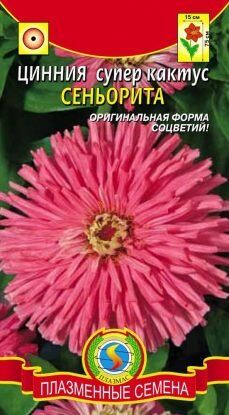 Цветы Циния Сеньорита супер-кактус ЦВ/П (ПЛАЗМА)