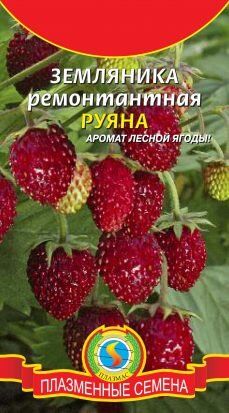 Земляника Руяна ЦВ/П (ПЛАЗМА) 0,04гр ремонтантная