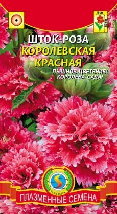 Цветы Шток-роза (Мальва) Королевская Красная ЦВ/П(ПЛАЗМА)