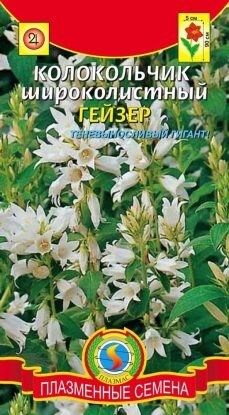 Цветы Колокольчик Гейзер ЦВ/П (ПЛАЗМА) белый широколистный многолетнее 90см