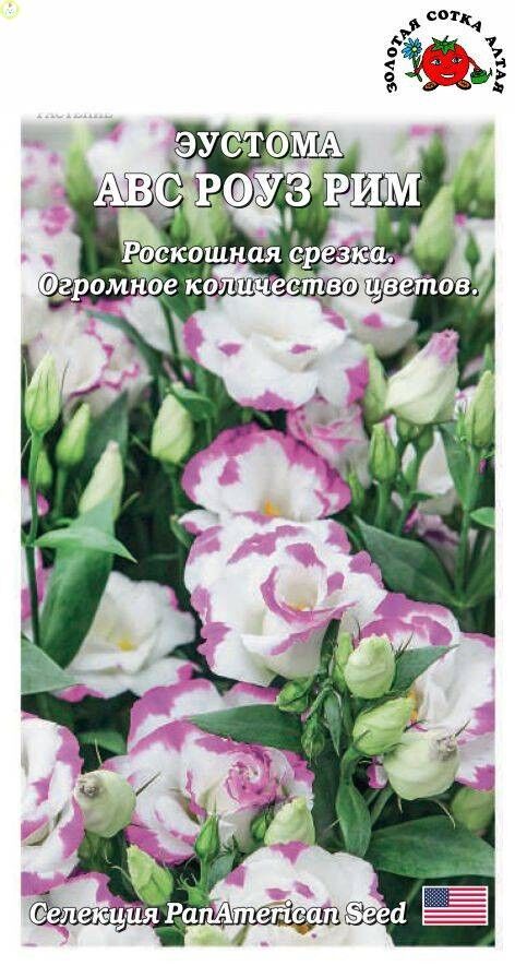 Эустома дип Роуз