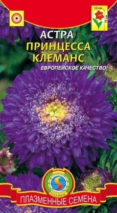 Цветы Астра Принцесса Клеманс ЦВ/П (ПЛАЗМА) фиолетовая густомахровая 50-70см