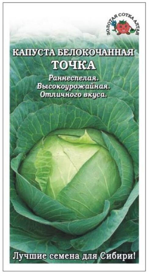 Капуста точка описание сорта фото отзывы