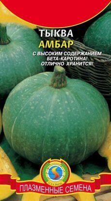 Тыква Амбар ЦВ/П (ПЛАЗМА) 1гр среднеспелый полукустистый