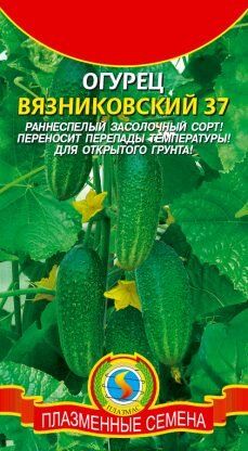 Огурец Вязниковский ЦВ/П (ПЛАЗМА) раннеспелый