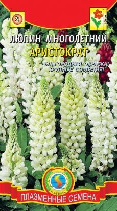 Цветы Люпин Аристократ ЦВ/П (ПЛАЗМА) белый многолетнее до 1,2м
