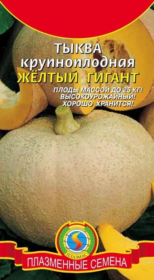 Тыква Жёлтый гигант ЦВ/П (ПЛАЗМА) до 25кг! 1гр среднеранний длинноплетистый