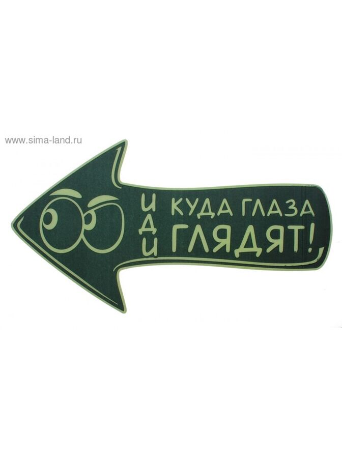 пошел куда глаза глядят. куда глаза глядят мужское. иногда один день. пошёл куда глаза глядят значение фразеологизма. куда глаза глядят.