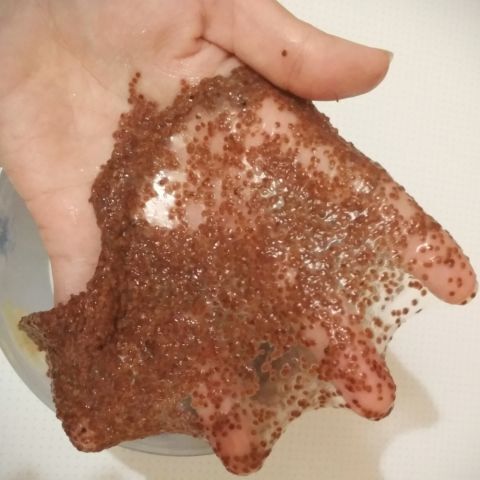 Маска из саргассовых водорослей