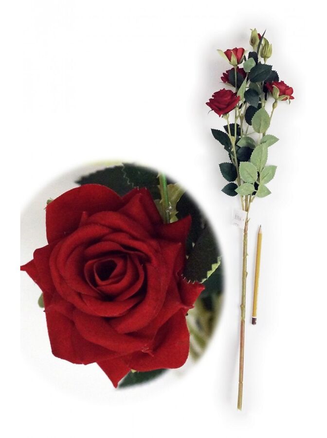 Роза кустовая 67 см цвет бордовый HS-31-9
