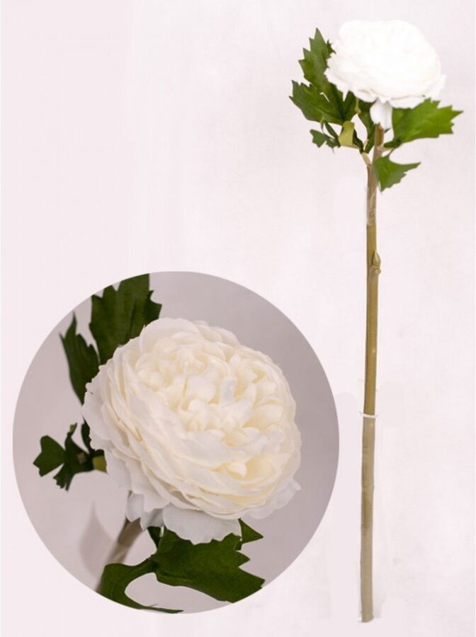 Пионовидная роза цвет белый 39-52см