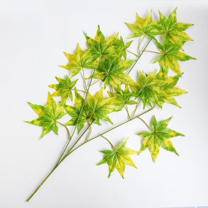 Декор «Листья на ветке» цвет зелёно-жёлтый
