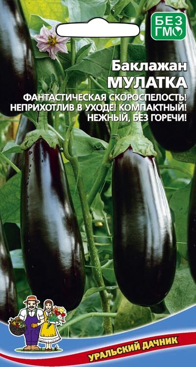 Баклажан анамур описание сорта фото отзывы Баклажан Мулатка (Марс) (среднеспелый,до 350гр.,высокоурожайный. Семена овощей