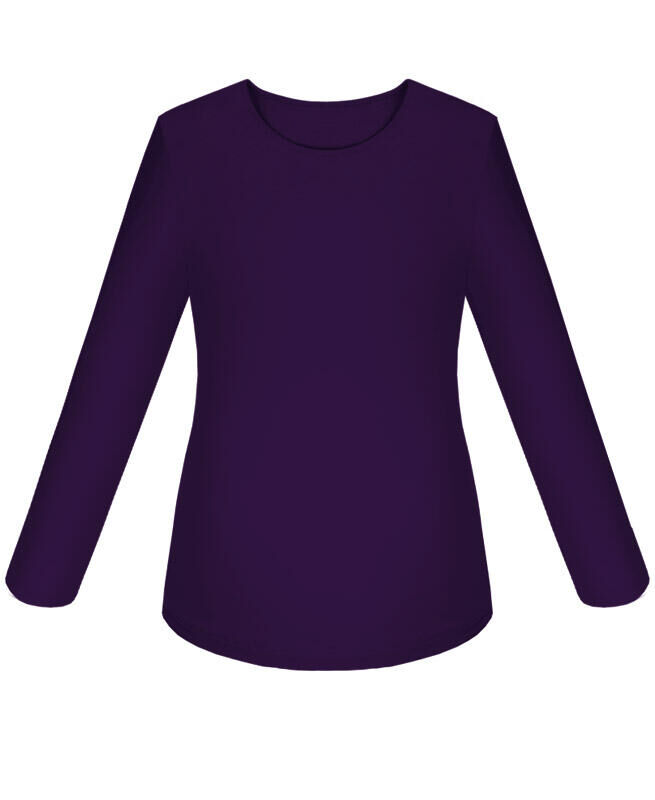 Радуга дети Фиолетовая джемпер (блузка) для девочки Цвет: фиолетовый
