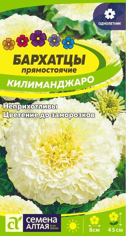 Семена Алтая Цветы Бархатцы Килиманджаро/Сем Алт/цп 0,05 гр.