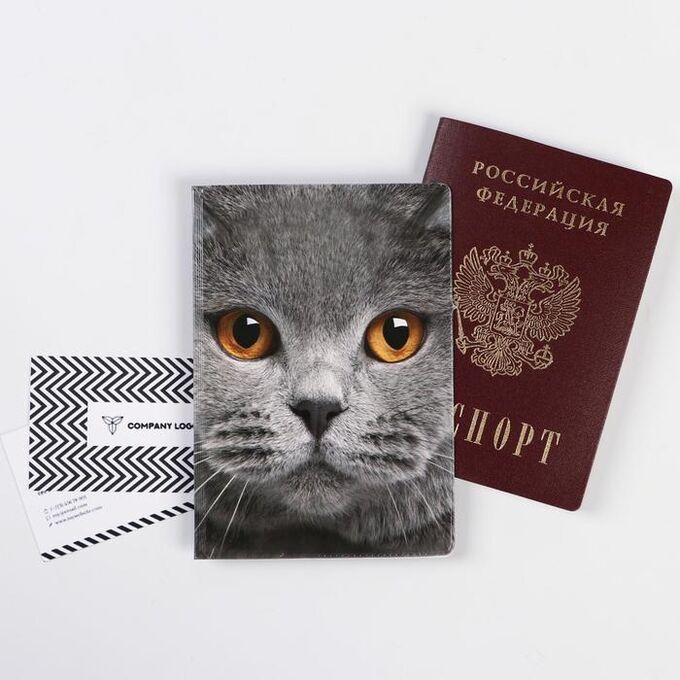 Обложка для паспорта &quot;Кот&quot; (1 шт)