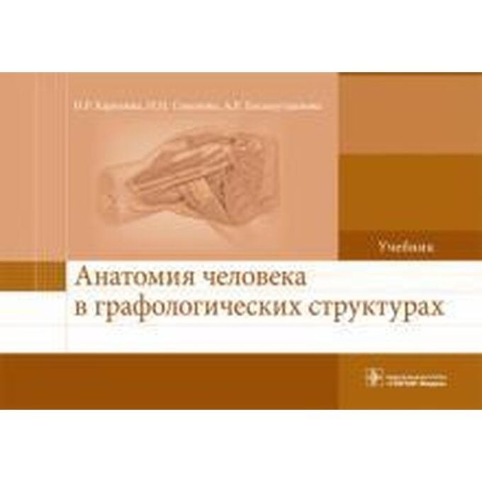 Анатомия человека в графологических структурах. Карелина Н.