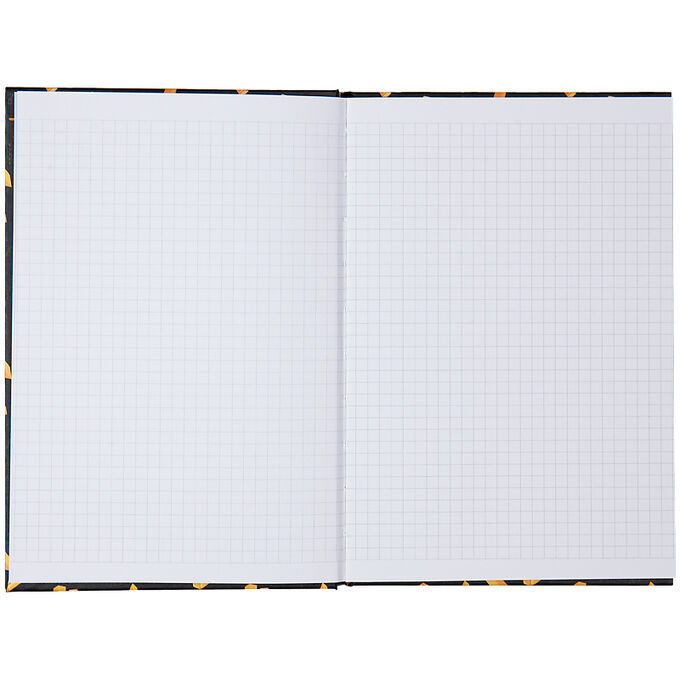 спиралька от тетради на прозрачном фоне. блокнот в клетку а5 (перекидной. блокнот-сквиш а5 80л fries. блокнот а5 80 листов в клетку. лист блокнота в линейку.