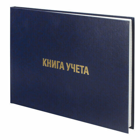 Книга учета 160 л., клетка, твердая, бумвинил, блок офсет, альбомная, А4 (210х295 мм), BRAUBERG, 130228, КОД_1С