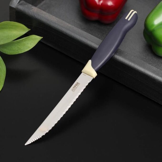 Труд Вача Нож кухонный «Мультиколор», для мяса, лезвие 11,5 см, с пластиковой ручкой
