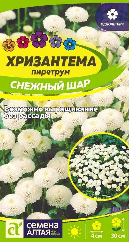 Семена Алтая Цветы Хризантема Снежный шар пиретрум/Сем Алт/цп 0,01 гр.