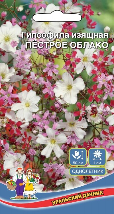 Агрофирма МАРС Цветы Гипсофила Изящная Смесь (Марс) (цветет обильно, возможны повторные посевы)