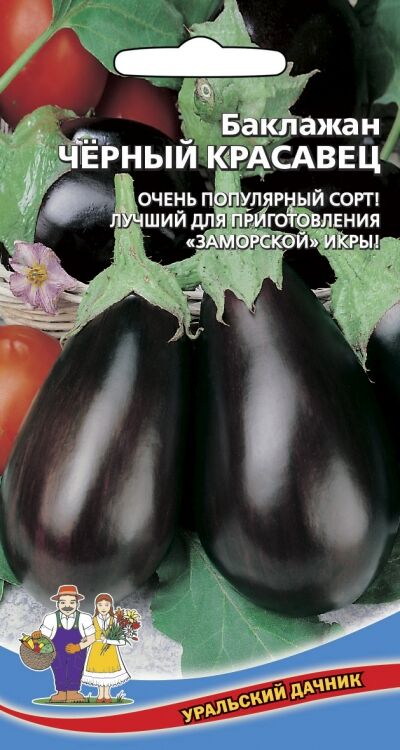 Баклажан черный красавец описание сорта фото Агрофирма МАРС / Баклажан Черный Красавец (Марс) (Популярный,грушевидный. Семена