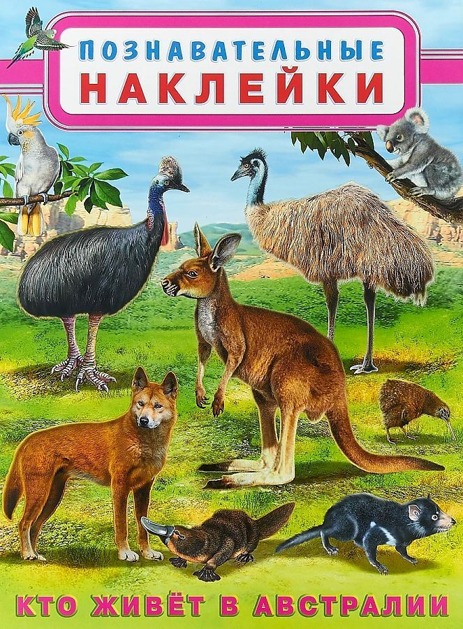 Кто живет в австралии