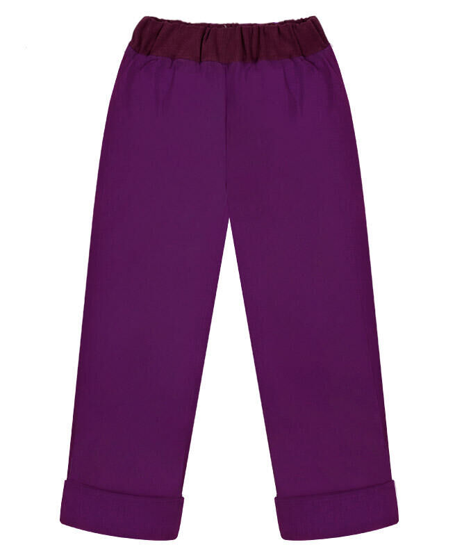Радуга дети Фиолетовые утеплённые брюки для девочки Цвет: фиолетовый