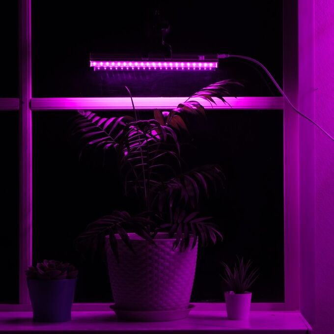 Светильник для растений, 6 Вт, 7 мкмоль/с, длина 300мм, присоска на стекло, универсальный