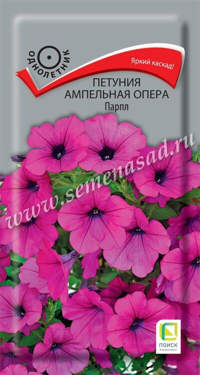 Поиск Петуния ампельная Опера Парпл (ЦВ) (&quot;1) 5шт.