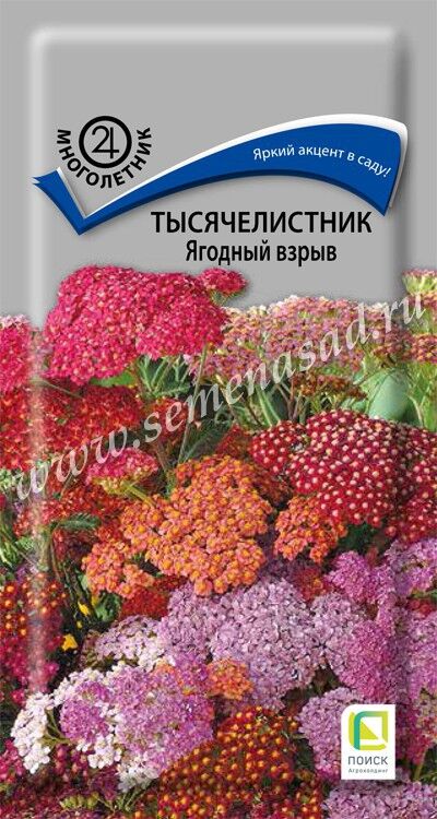 Поиск Тысячелистник Ягодный взрыв (ЦВ) (&quot;М) 10шт