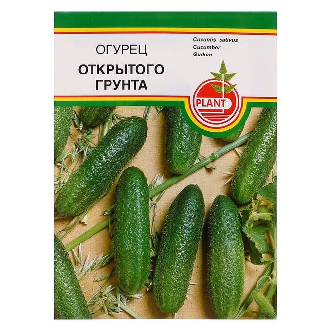 Пучковые сорта огурцов для открытого грунта самоопыляемые для сибири. Огурцы нежинский описание сорта. Отзывы огурцы в открытый грунт. Огурцы сорт малыш. Огурец сорт засолочный.