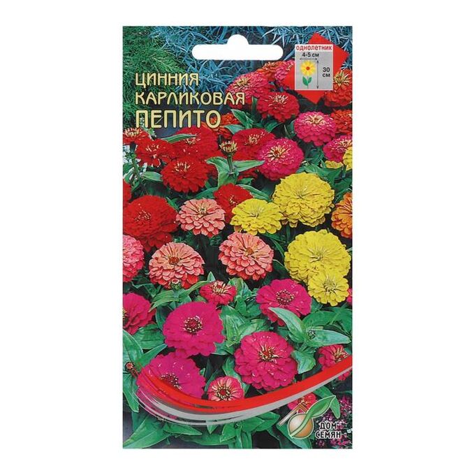 Семена цинии