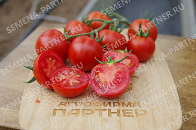 Агрофирма Партнёр ПАРТНЕР Томат Барух F1 ( 2-ной пак.) Мелкоплодные гибриды томата с массой плода до 100 г