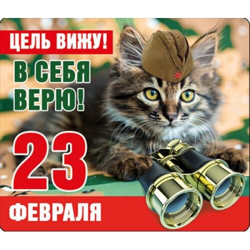 ХОРОШО ВИНИЛОВЫЙ МАГНИТ &quot;23 ФЕВРАЛЯ. ЦЕЛЬ ВИЖУ!..&quot;