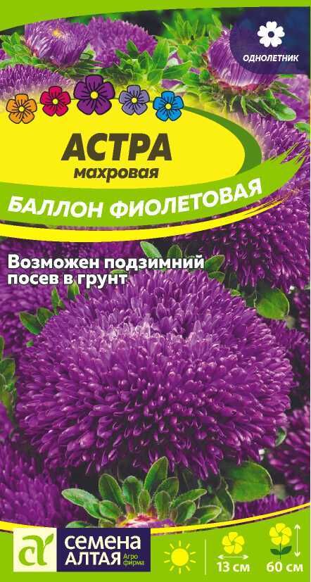 Семена Алтая Астра Баллон Фиолетовая/Сем Алт/цп 0,05 гр.