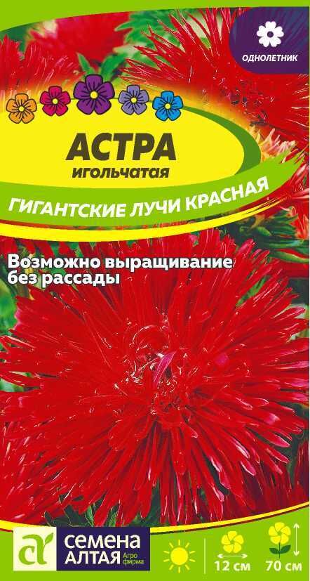 Семена Алтая Астра Гигантские лучи Красная/Сем Алт/цп 0,2 гр.