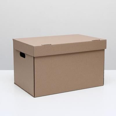 Коробка для xранения 48 x 32,5 x 29,5 см