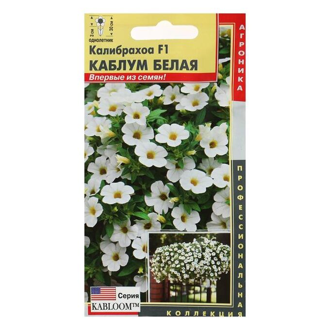 Калибрахоа Каблум Вайт