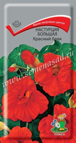 Русский огород Цветы Настурция большая Красный блик 1г Поиск