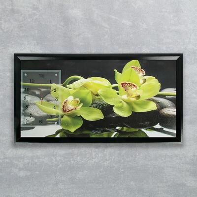 Часы-картина настенные, серия: Цветы, &quot;Зеленые орхидеи&quot;, 50х100 см, микс
