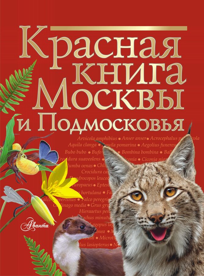 Издательство АСТ Молюков М.И. Красная книга Москвы и Подмосковья