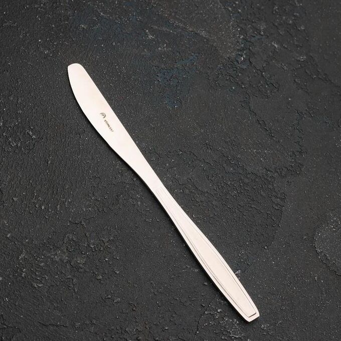 Нож столовый Труд Вача «Евро», h=20 см, 2 мм