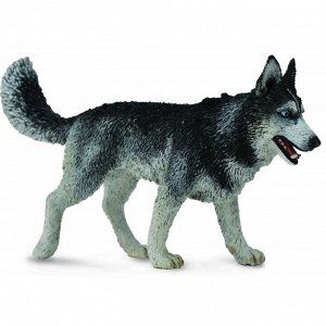collecta Сибирская лайка, L